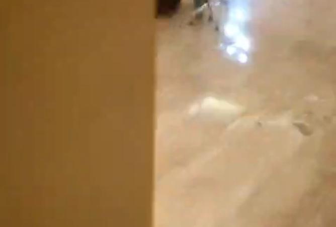 8415742 - صورة العقار 3