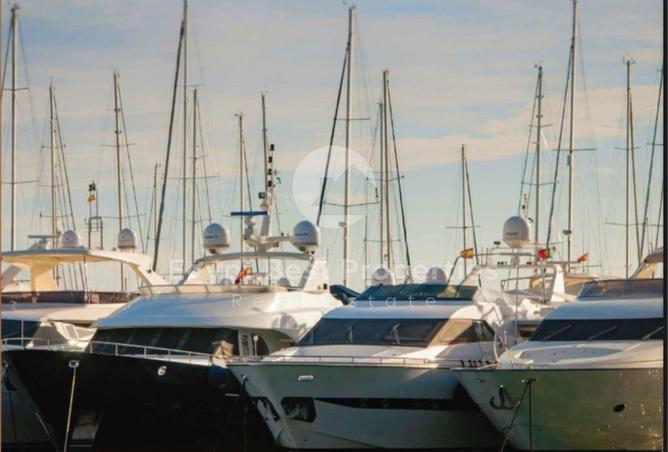 8463658 - صورة العقار 3