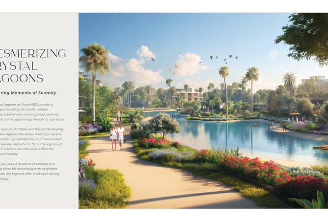 8428545 - Property Image 2