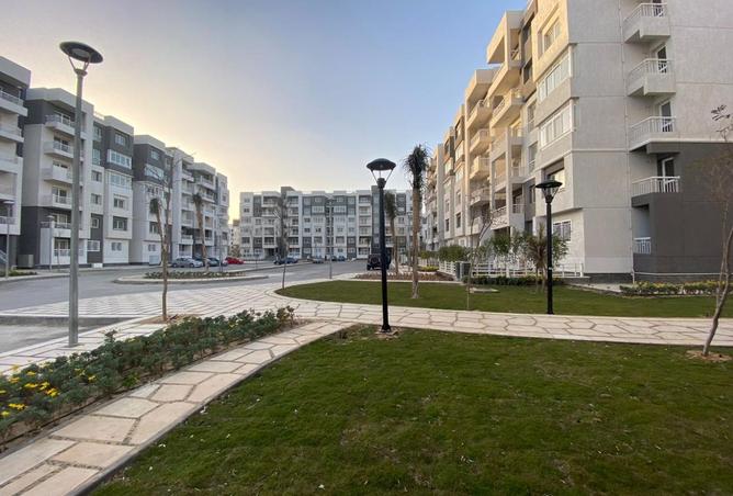 8385380 - Property Image 2