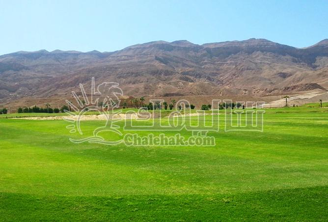 8167248 - Property Main Image