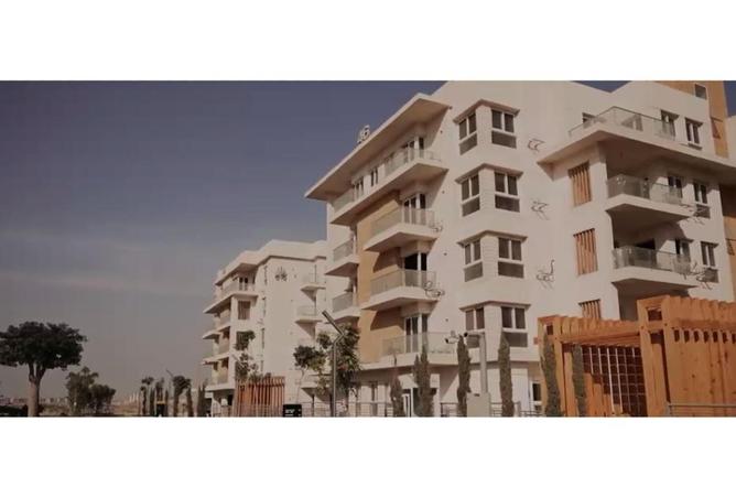 8213054 - صورة العقار 3