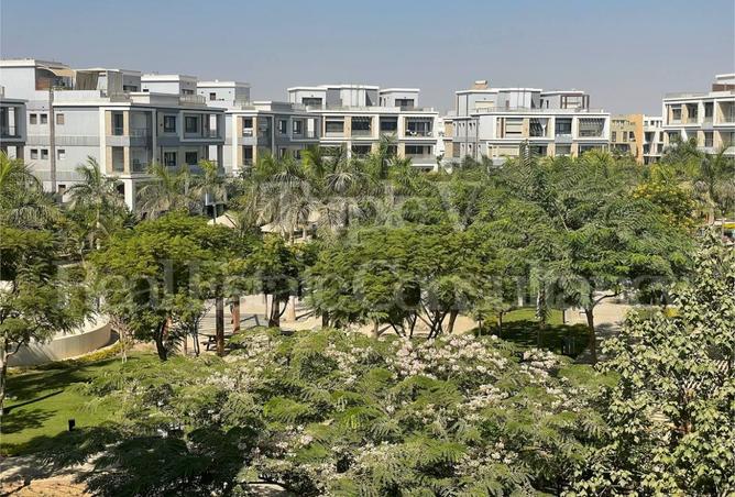 8172841 - الصورة الرئيسية للعقار