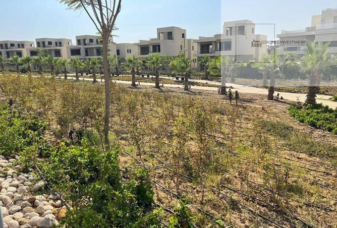 8251930 - Property Image 3