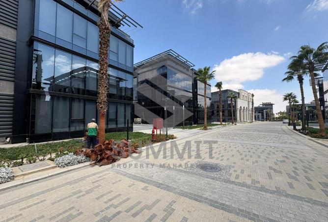 8111980 - Property Image 3