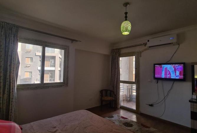 7886827 - Property Image 3