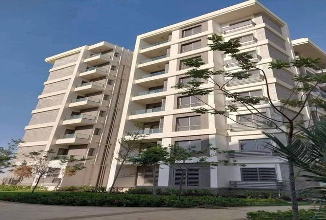 7918431 - Property Image 3