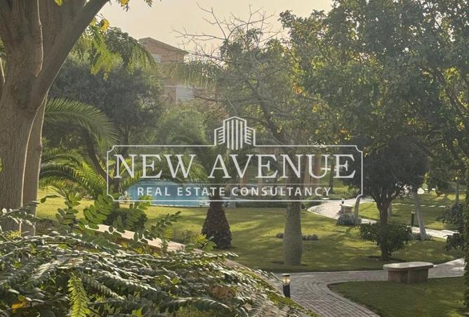 8319074 - صورة العقار 3