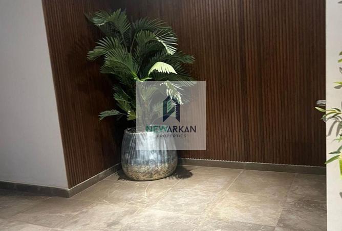 8296427 - Property Image 3