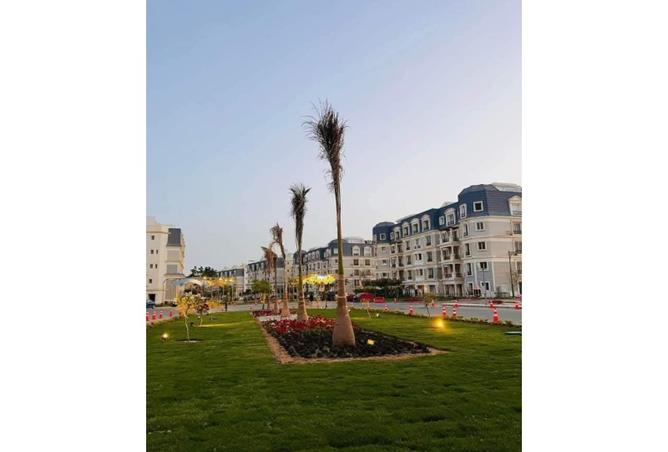 8090682 - Property Image 3