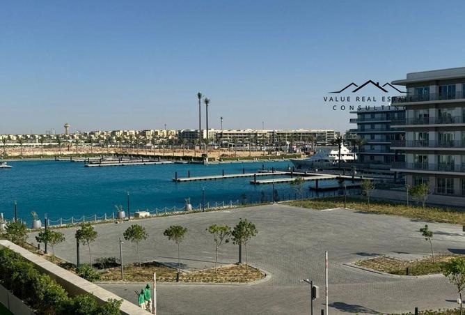 7916410 - صورة العقار 3
