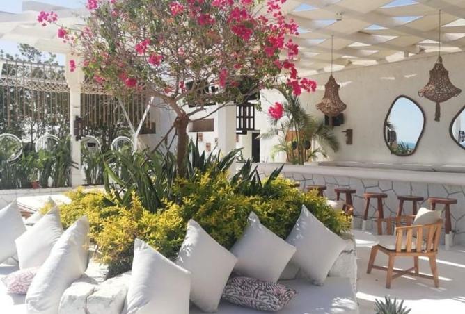 8193453 - Property Image 3