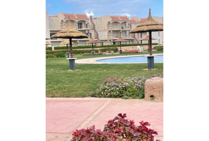 8037057 - صورة العقار 3
