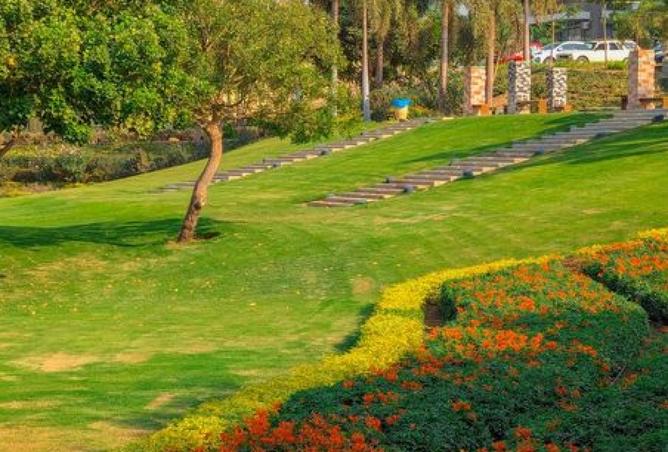 8255048 - صورة العقار 3