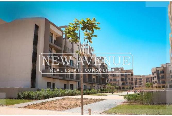 8169285 - Property Image 2