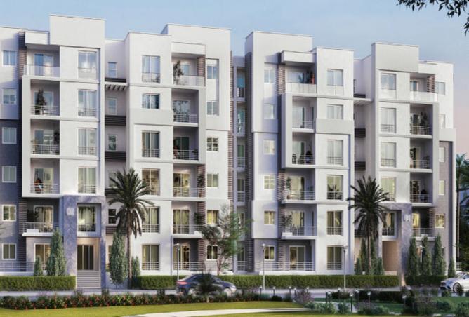 8193125 - صورة العقار 3