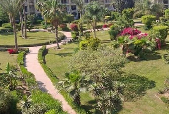 8216624 - صورة العقار 3