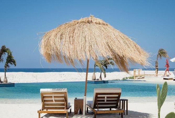 7978430 - صورة العقار 2