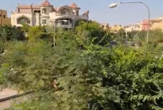 8283181 - صورة العقار 3