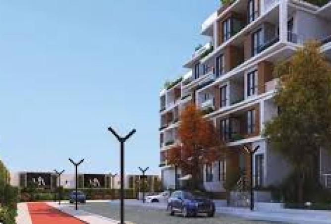 7926728 - Property Image 3