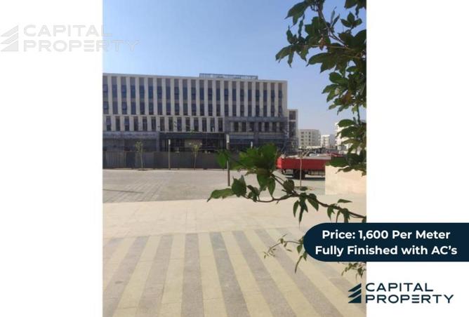 8204444 - صورة العقار 3