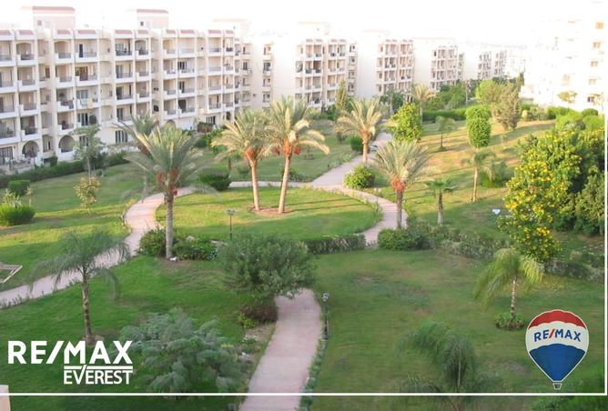 8350066 - Property Image 3