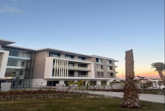 8475347 - صورة العقار 2