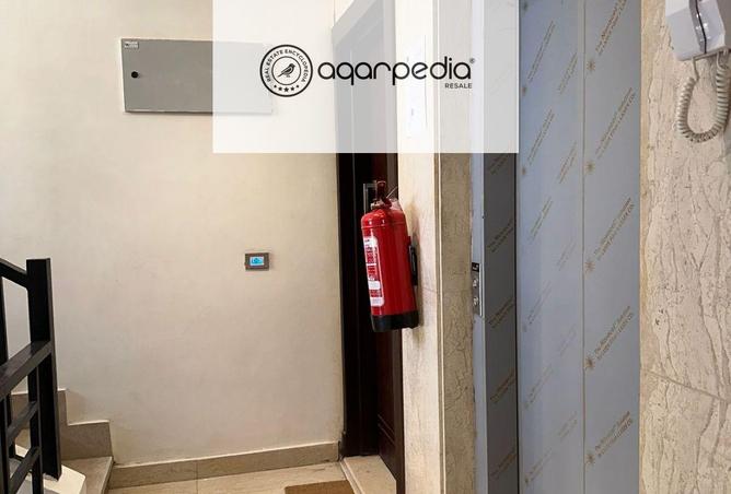 8018204 - Property Image 3