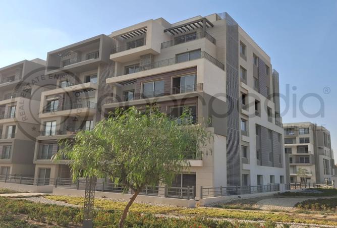 8171999 - Property Image 3