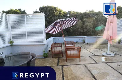 Penthouse - 1 Bedroom - 1 Bathroom for rent in Street 213 - Degla - Hay El Maadi - Cairo