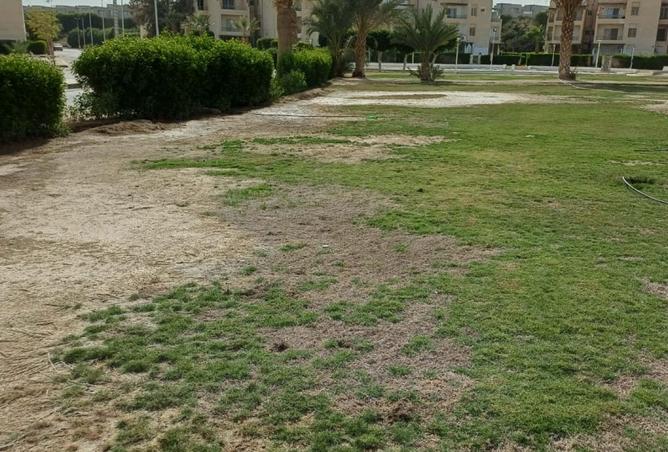 8338040 - الصورة الرئيسية للعقار