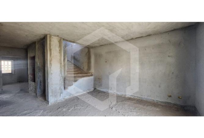 8201975 - Property Image 3