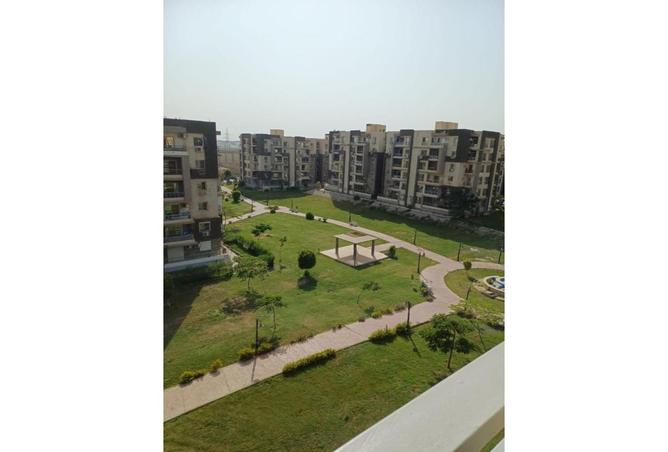 8001706 - صورة العقار 3