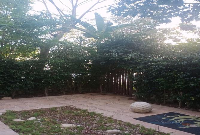 8128992 - صورة العقار 3
