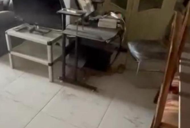 8424223 - Property Image 3