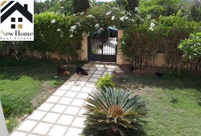 7795053 - Property Image 3