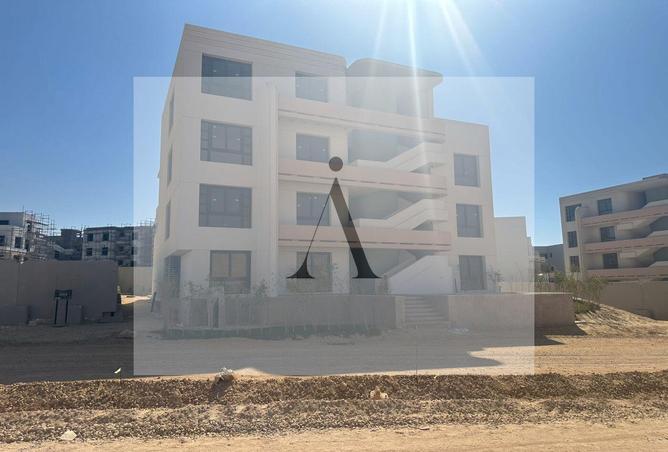 7981617 - Property Image 3