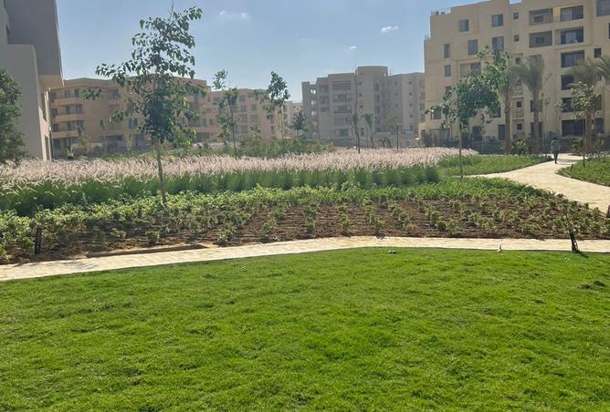 8203752 - الصورة الرئيسية للعقار