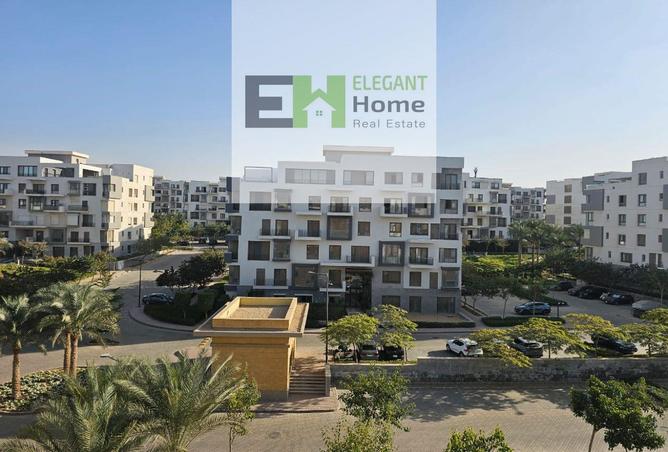 8382381 - Property Image 3