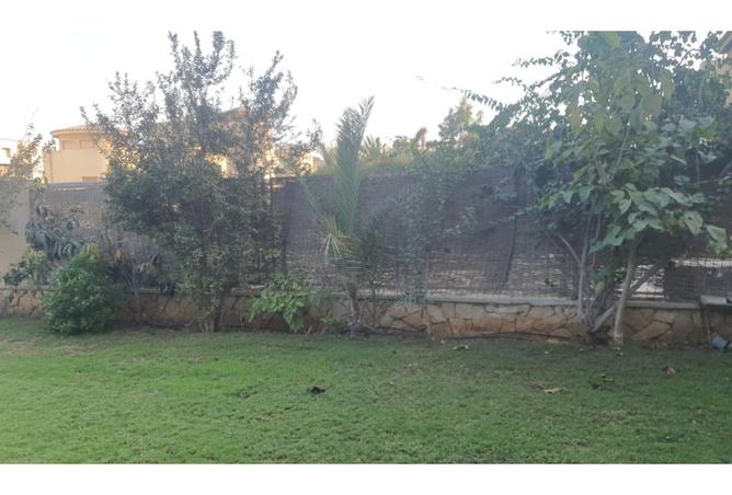 8535199 - Property Image 3