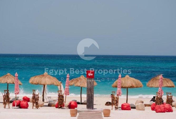 8202600 - صورة العقار 2