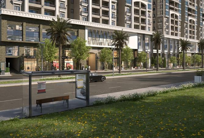 8258411 - Property Image 3