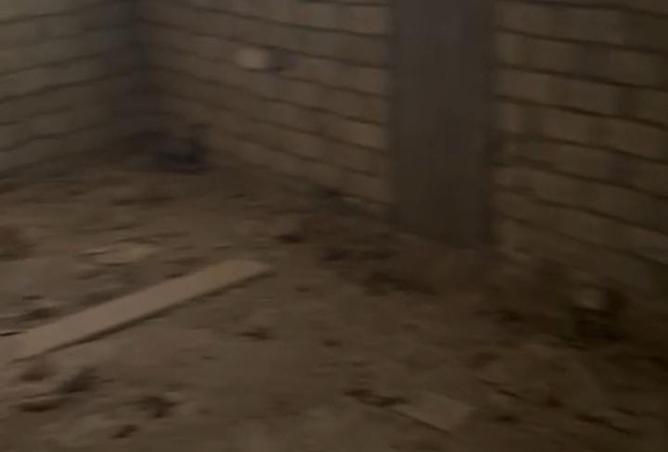 8317677 - Property Image 2