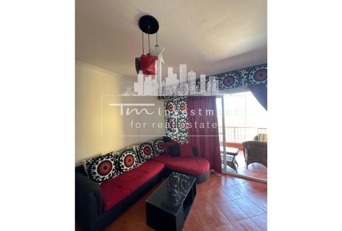 8146613 - Property Image 3