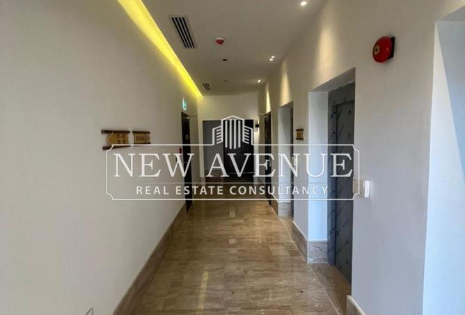 8387887 - Property Image 2