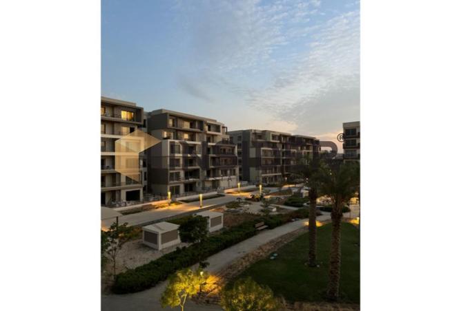 8530613 - Property Image 3