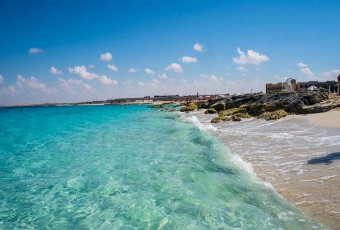 7937298 - الصورة الرئيسية للعقار