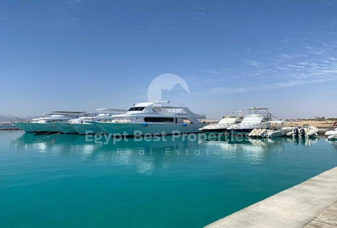 7932830 - Property Image 2