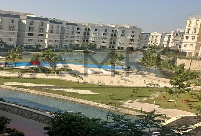 8109842 - Property Image 3