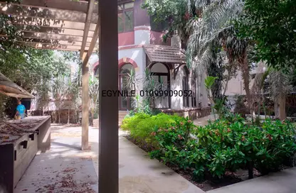 Villa - Studio for rent in Ahmed Heshmat St. - Zamalek - Cairo